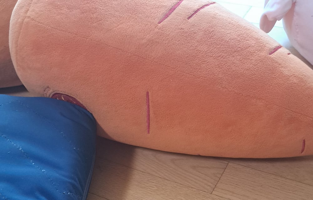 당근인형