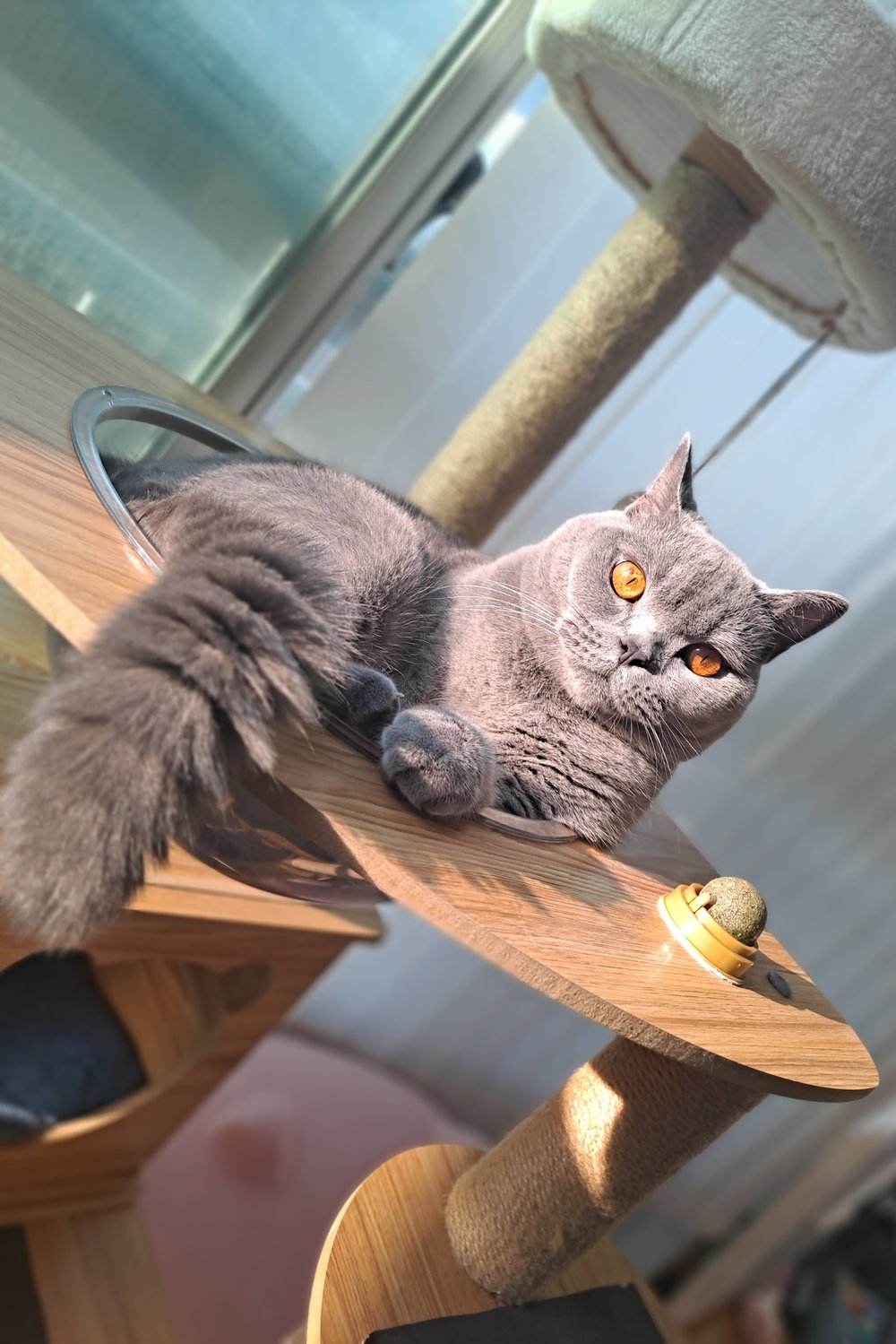 먼지