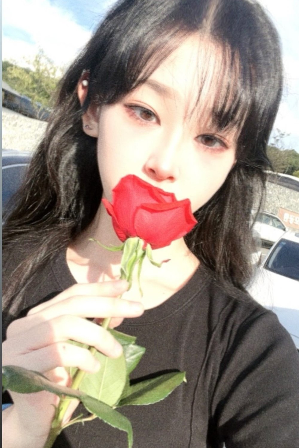 한솔