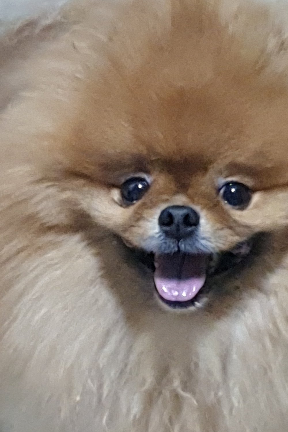 ff
