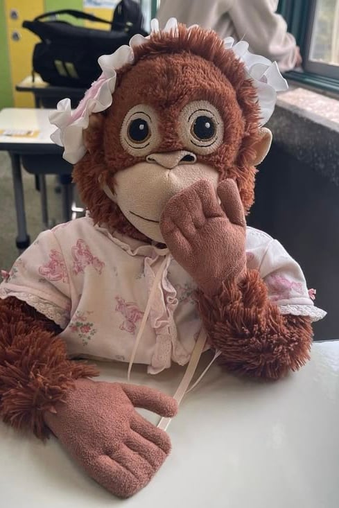 오랑이