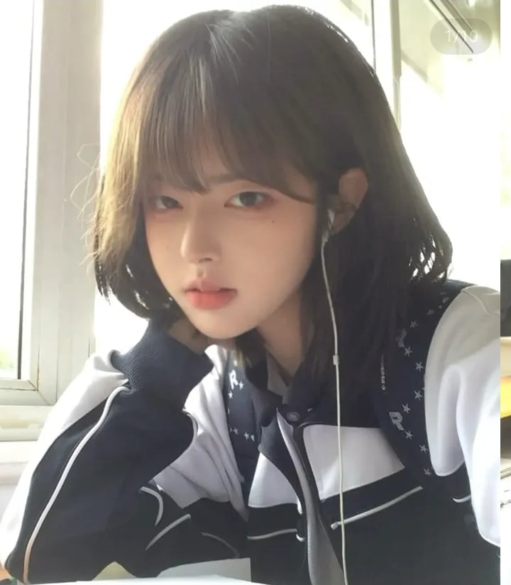 하다연