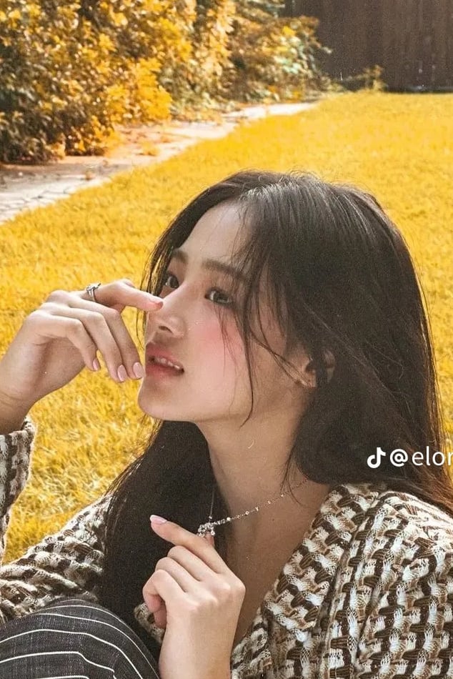 민지