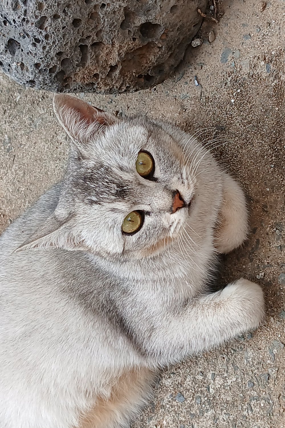 이현수