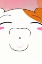 햄찌