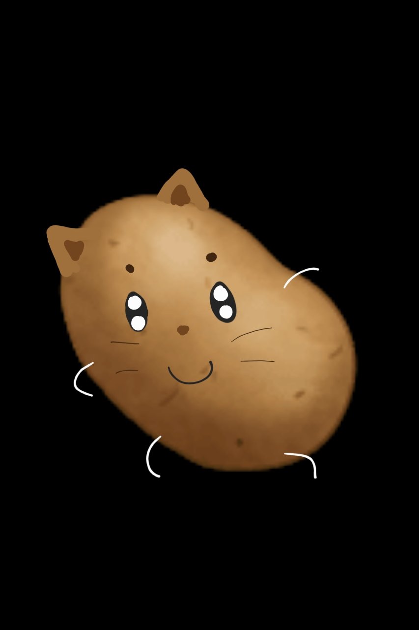 감자고냥이