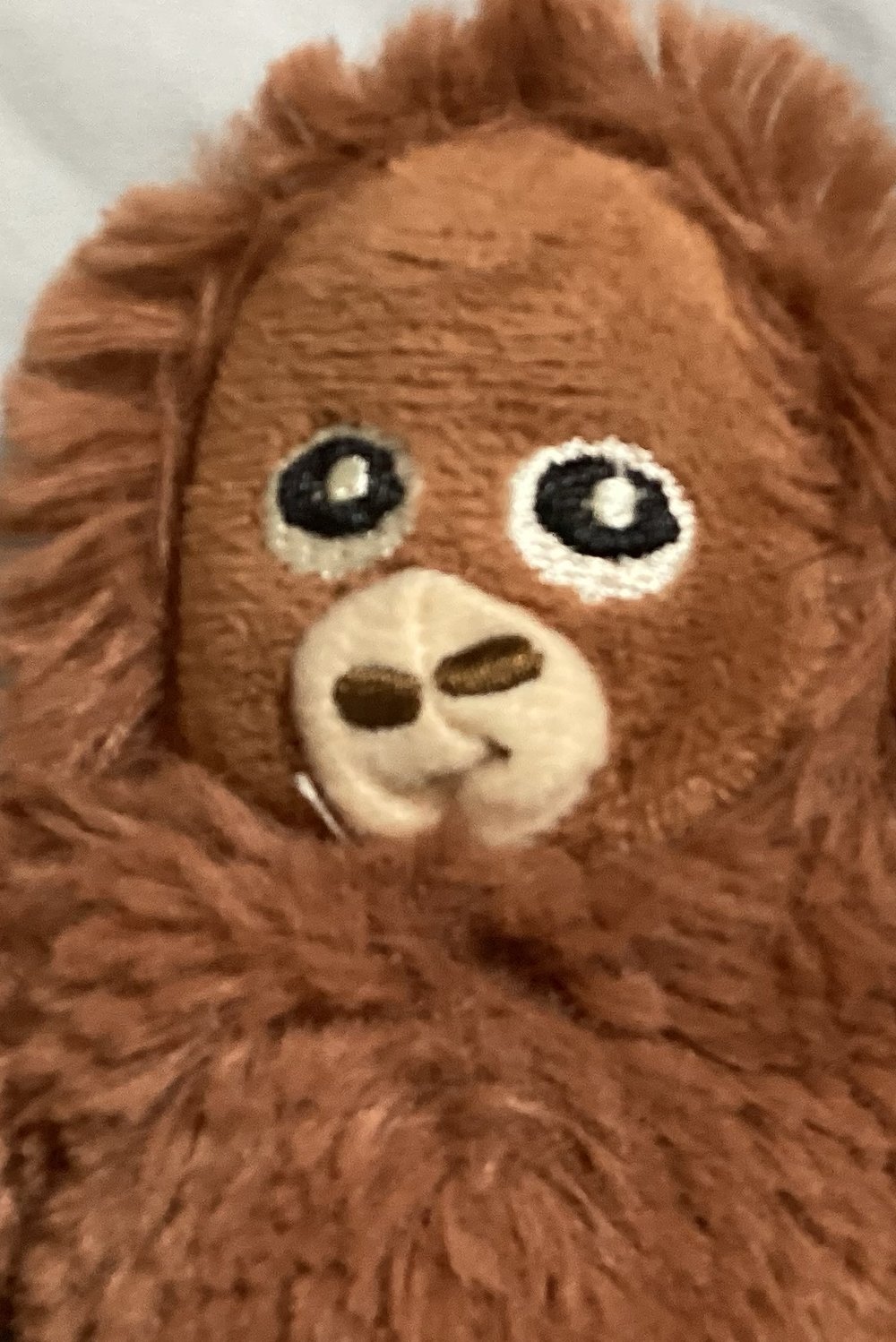 몽키