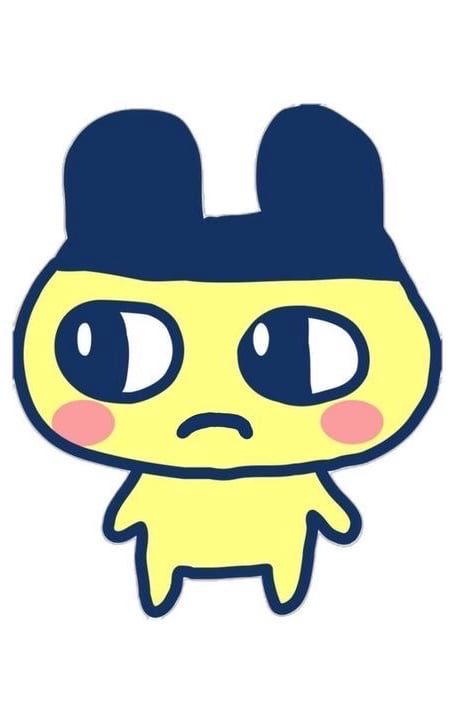 나윤