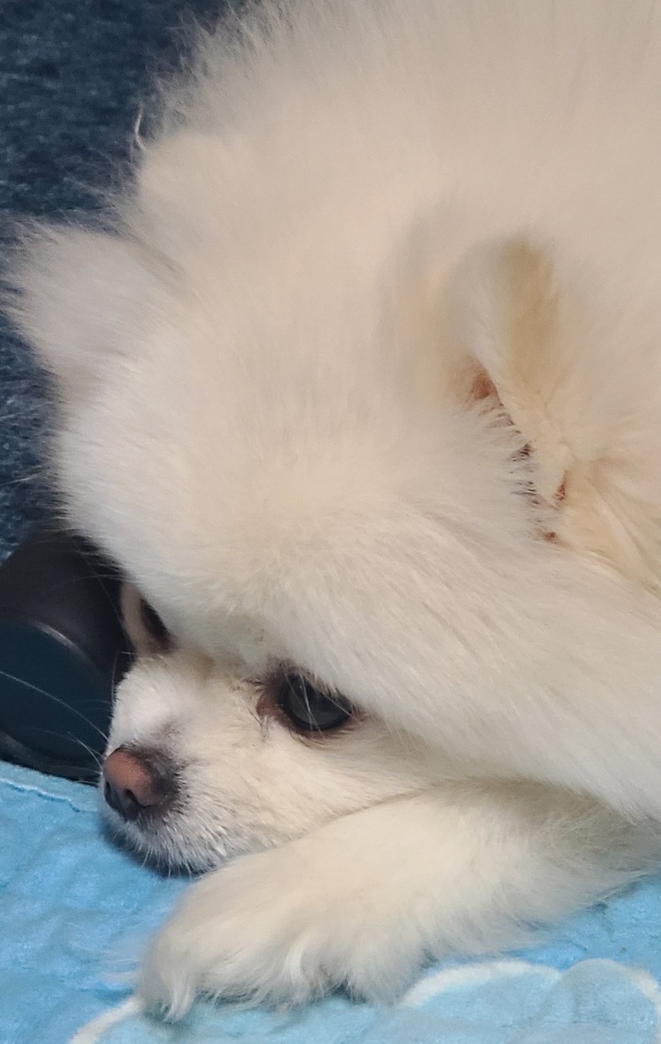 겨울