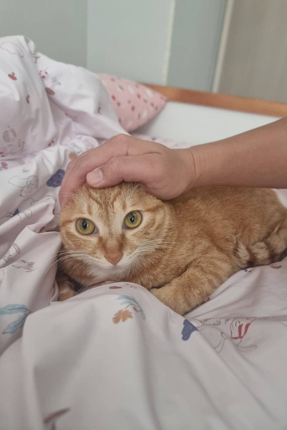 김지민