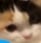 마미