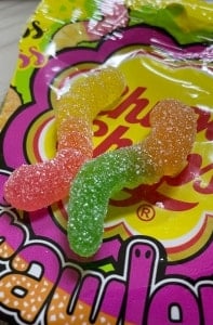 지렁이