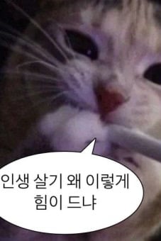 루크