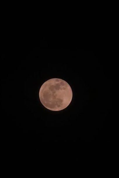 김지훈