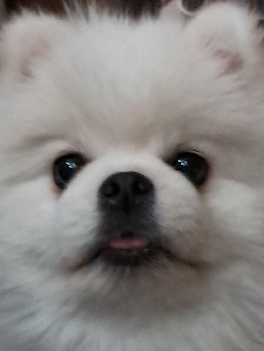 김구름