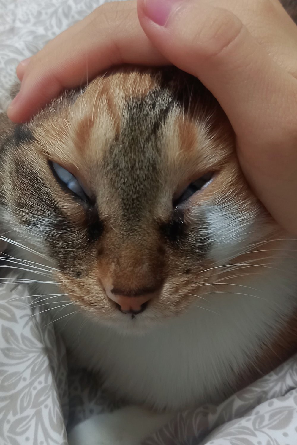 꾸꾸