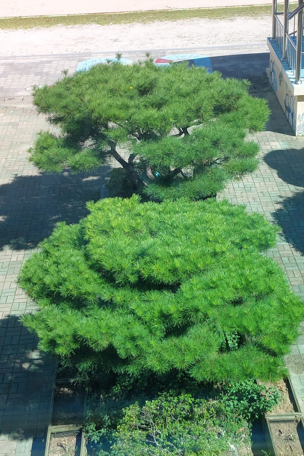 사진작가  윤지