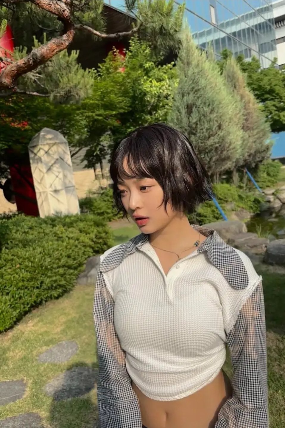팜하니