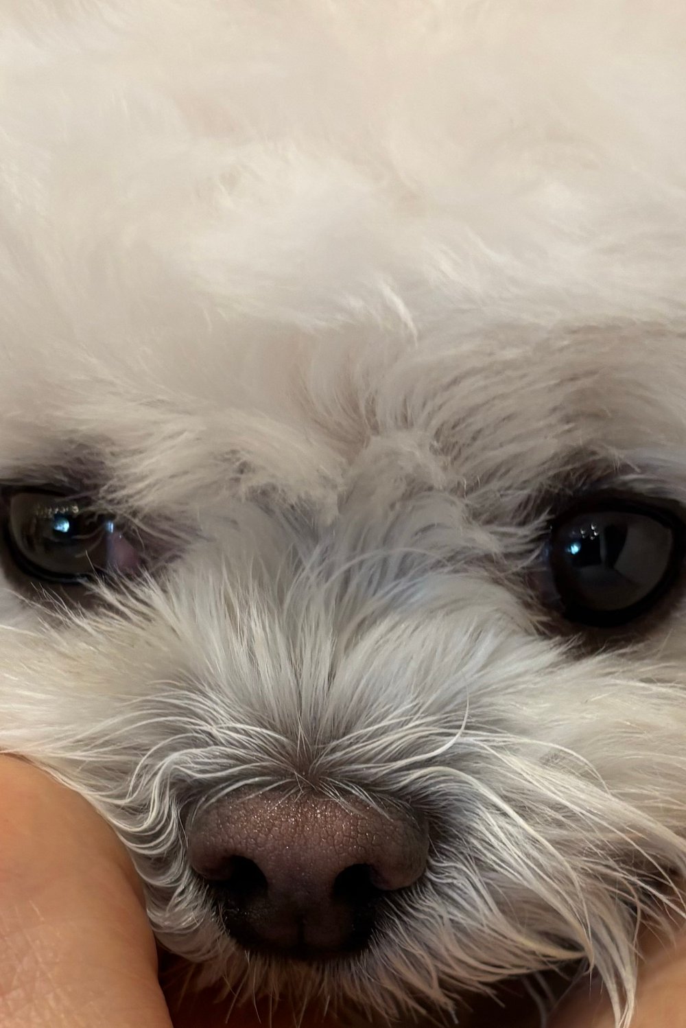던