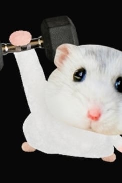 이수빈