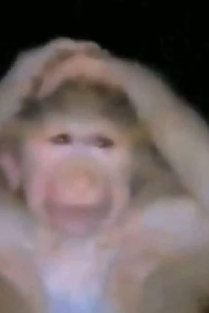 브륵