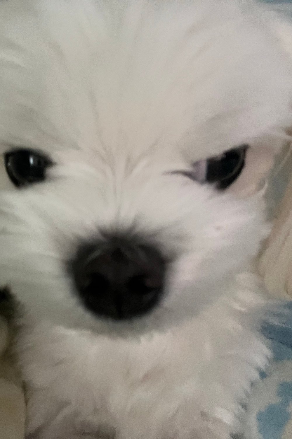 민재