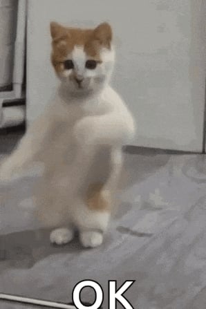 라잇트 