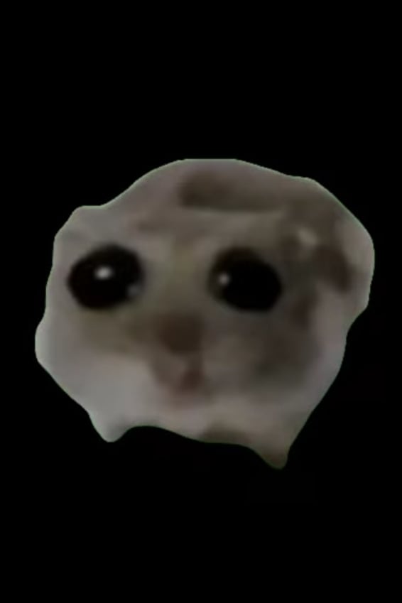 햄찌