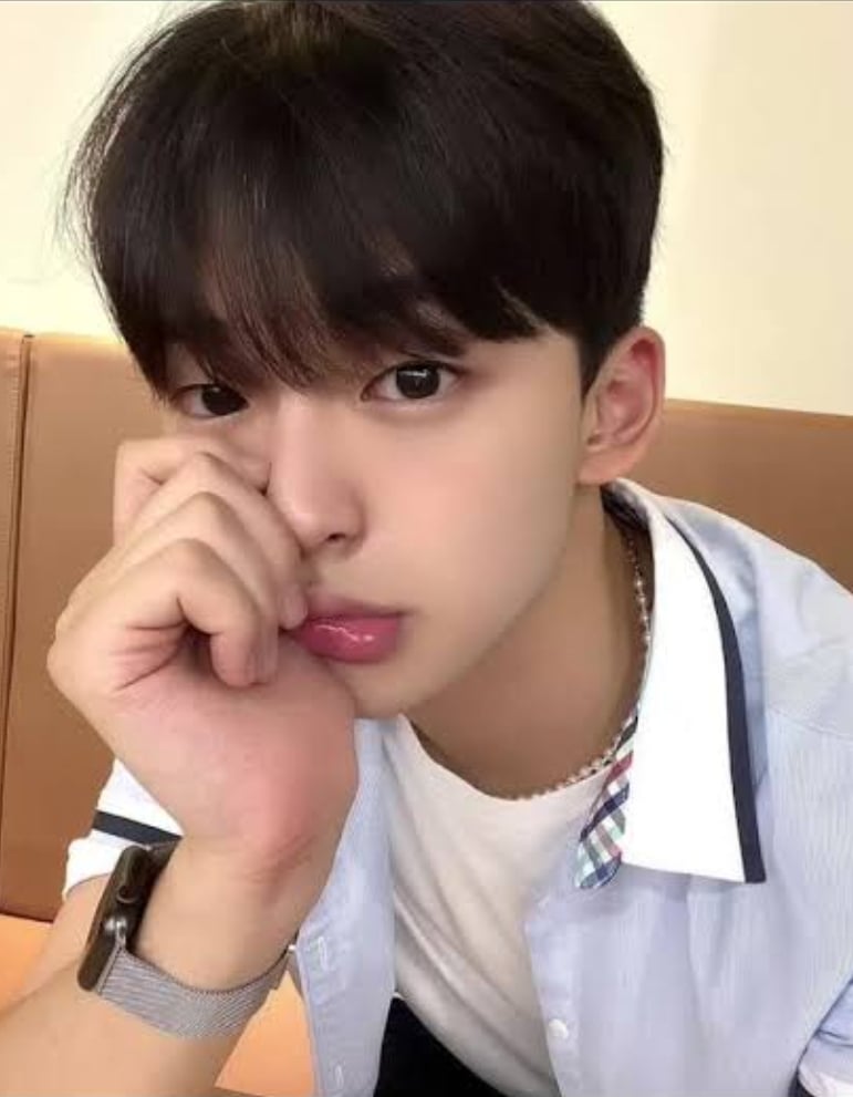 백지호
