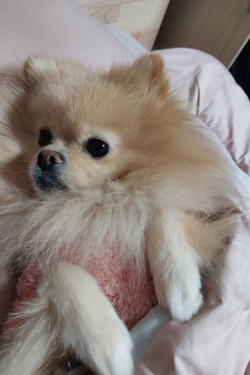 소다