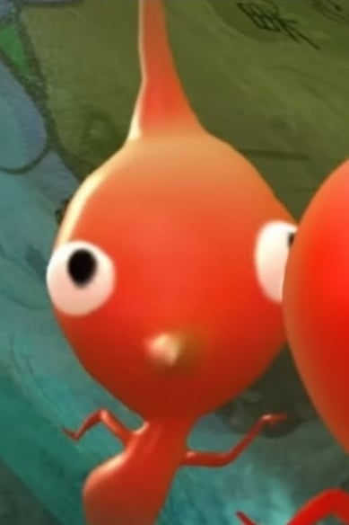 미지