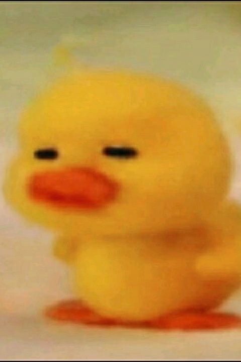 오리