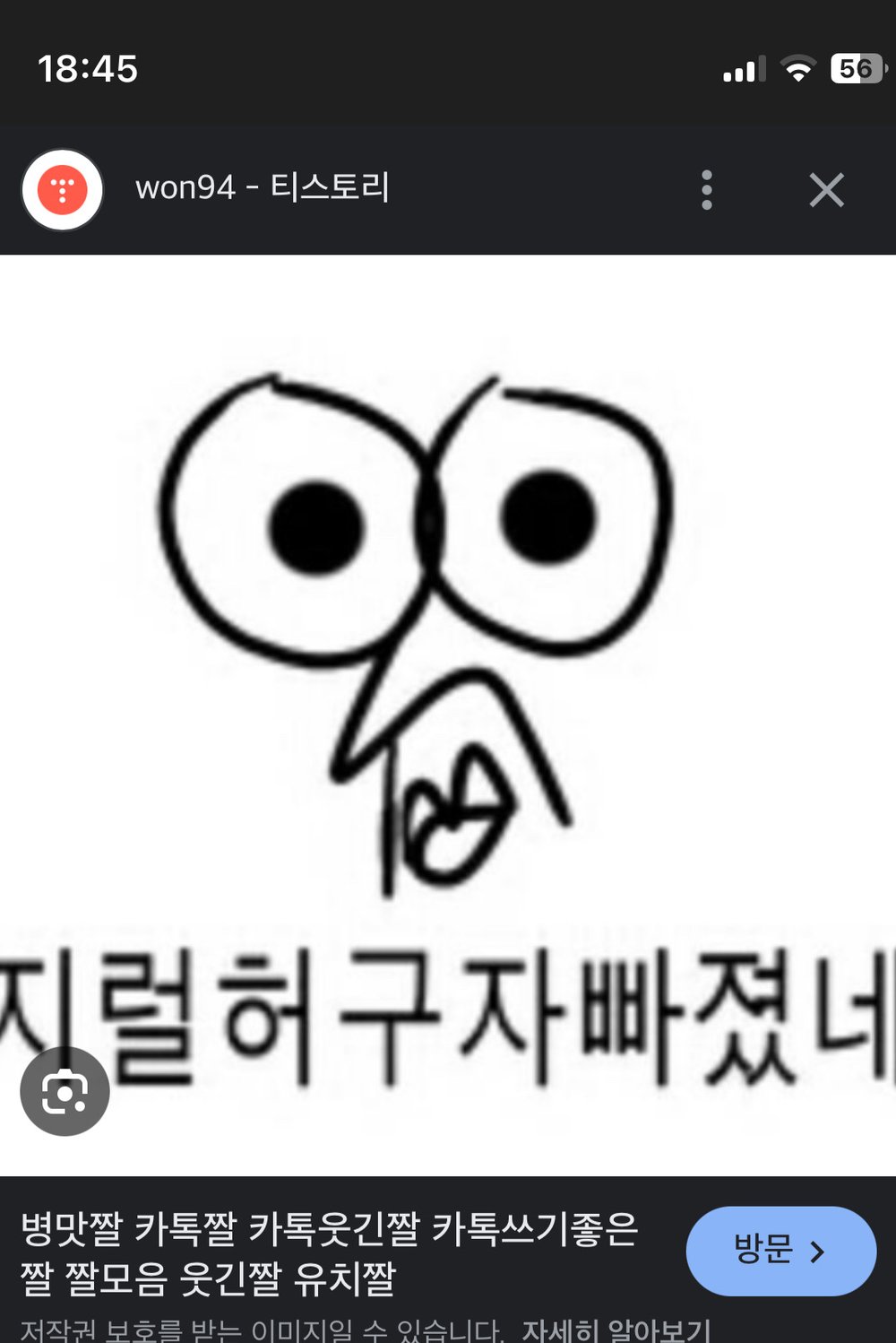 지럴