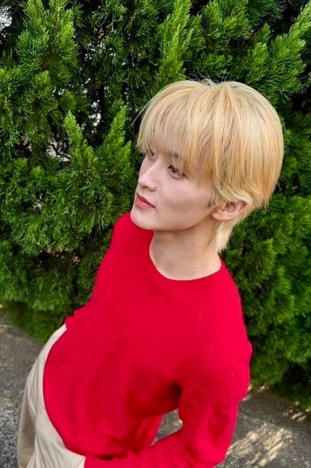 마크
