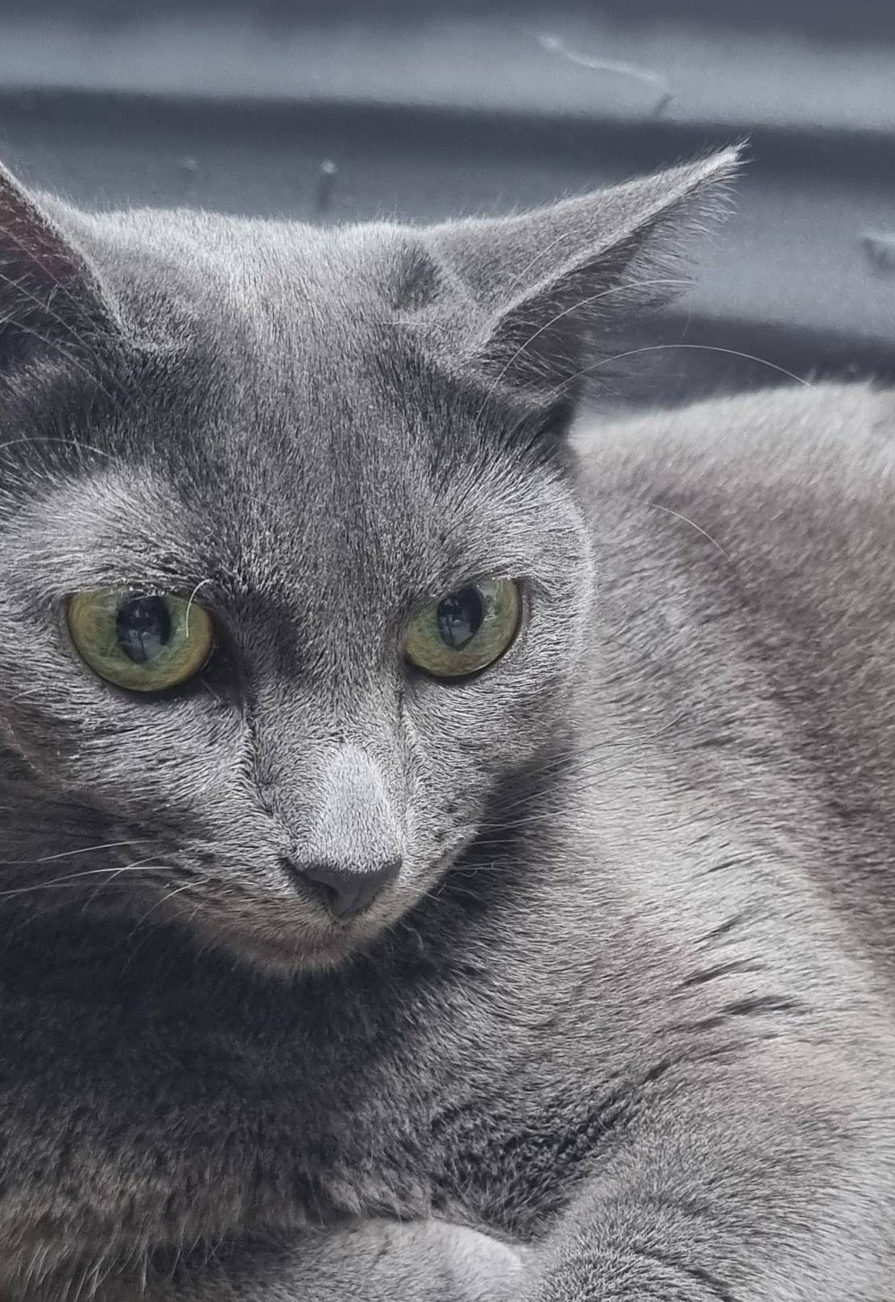 윤이