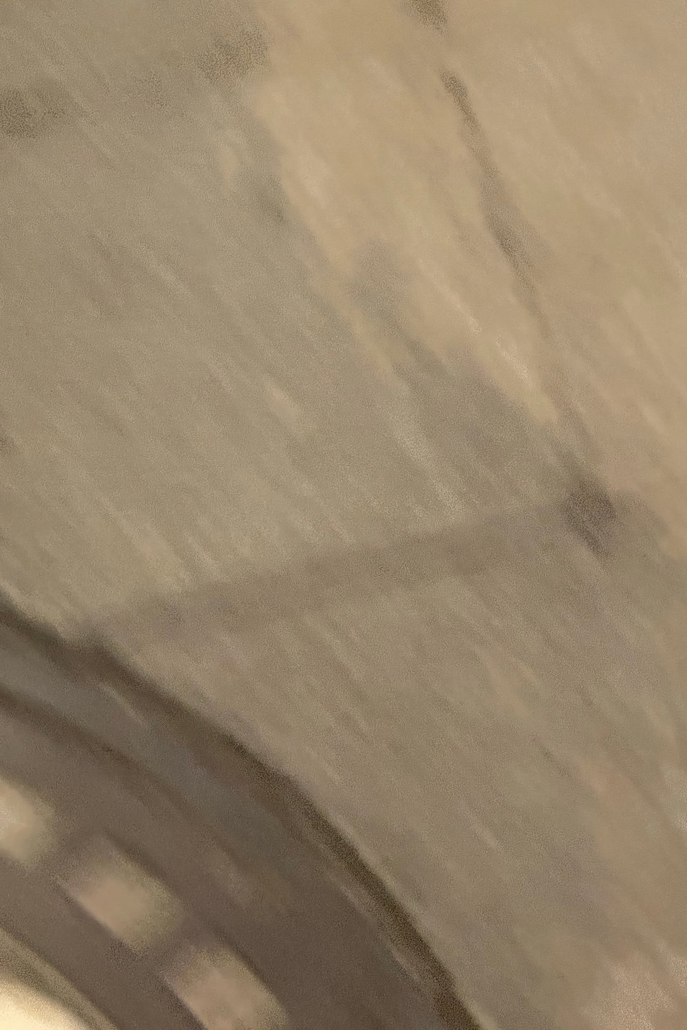 박지후