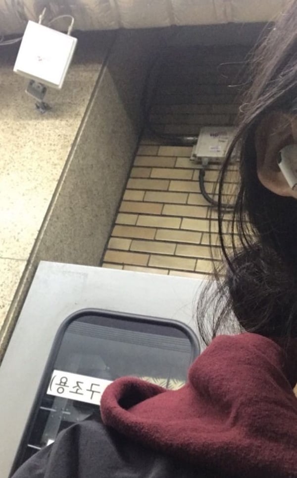 채진아