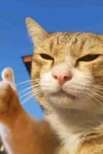 꼬먕이