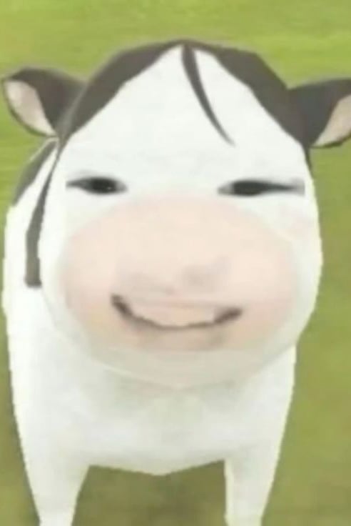 바보