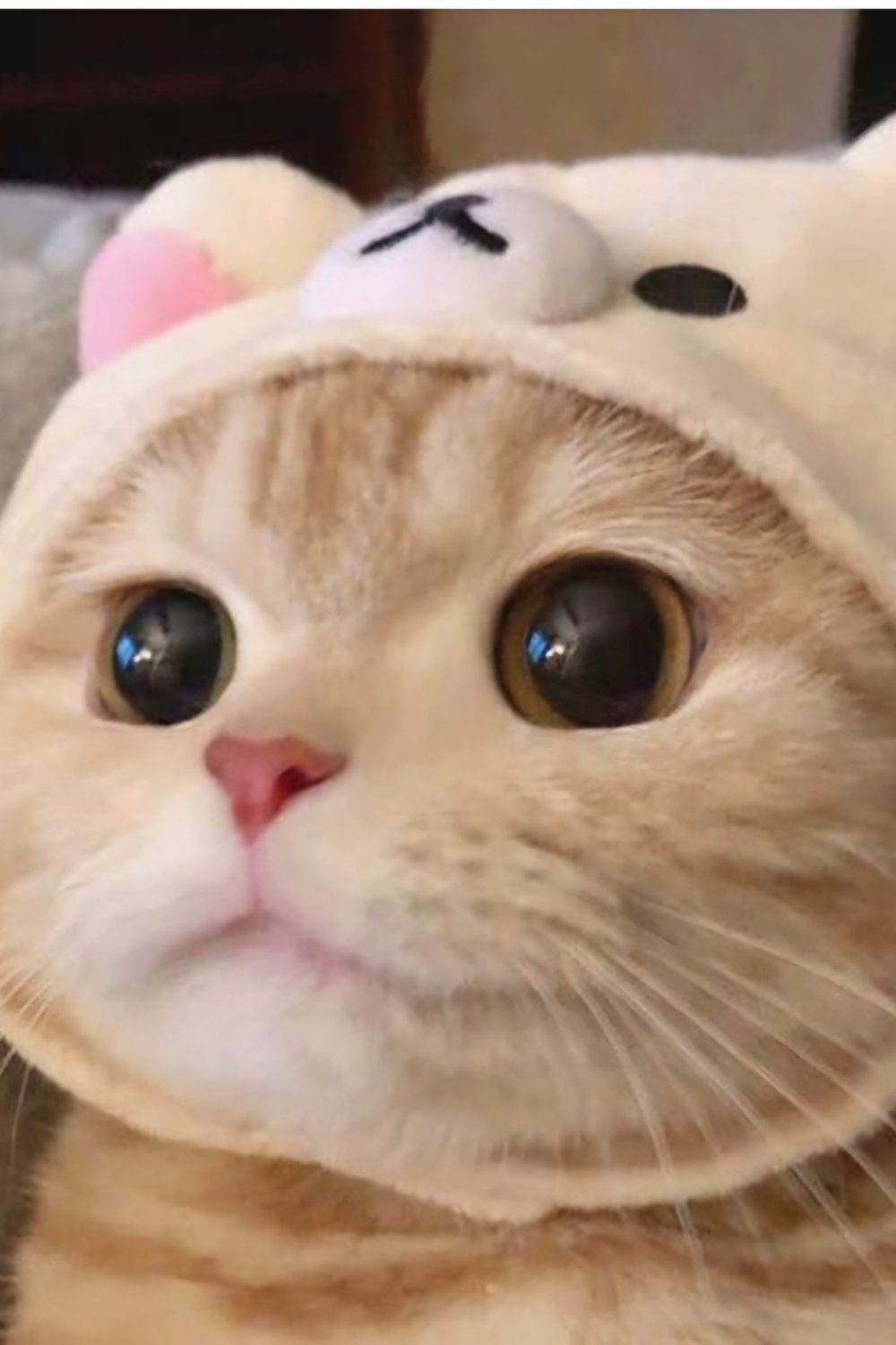 이냥
