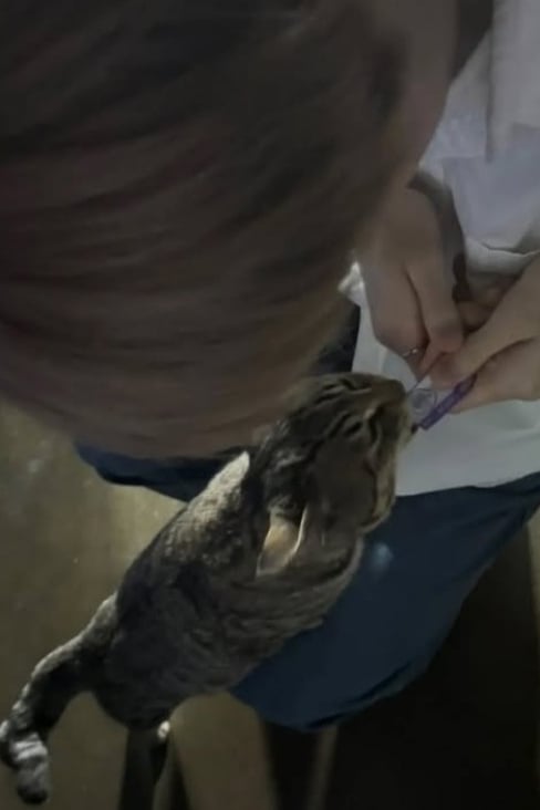 최수빈