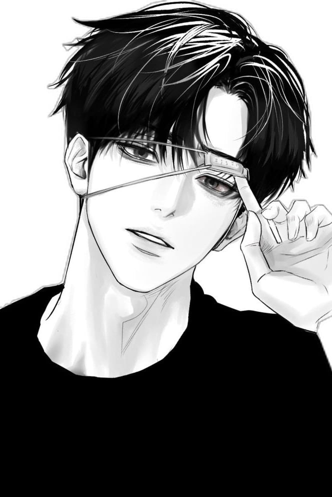 백도이