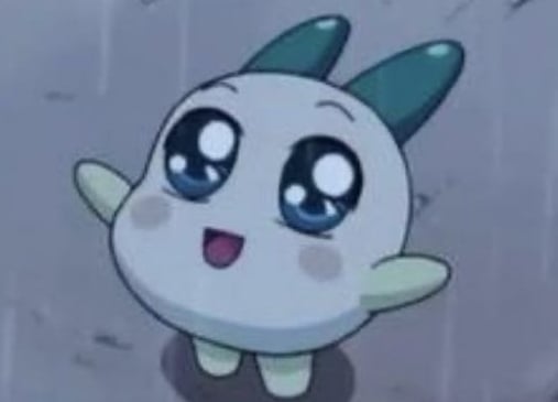 맑눈광