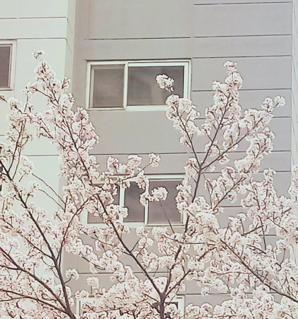 김민수