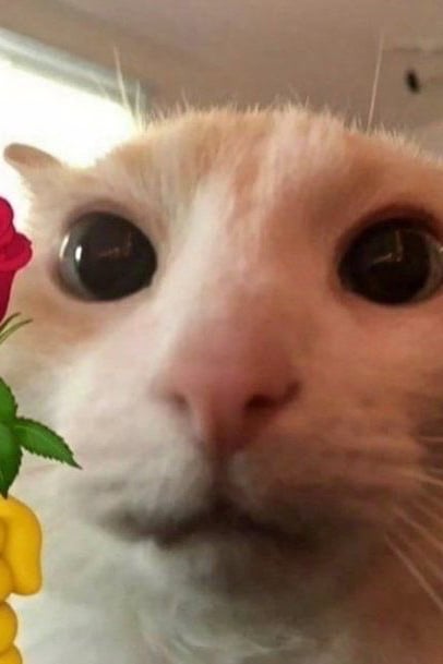 에옹