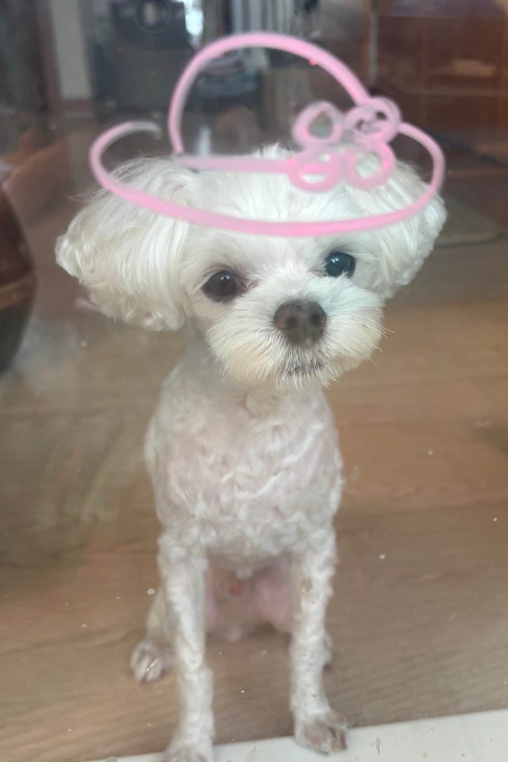 김우유