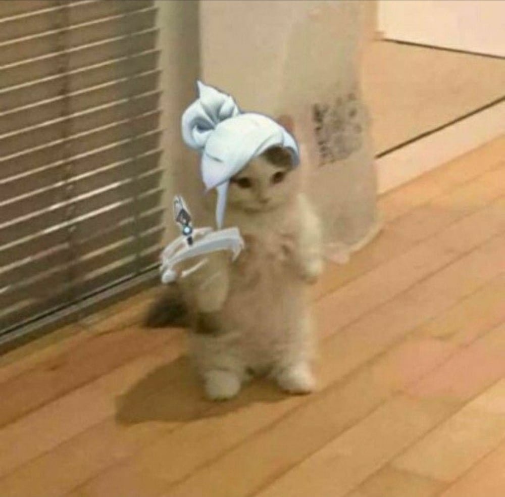 말하는 간지 고양이