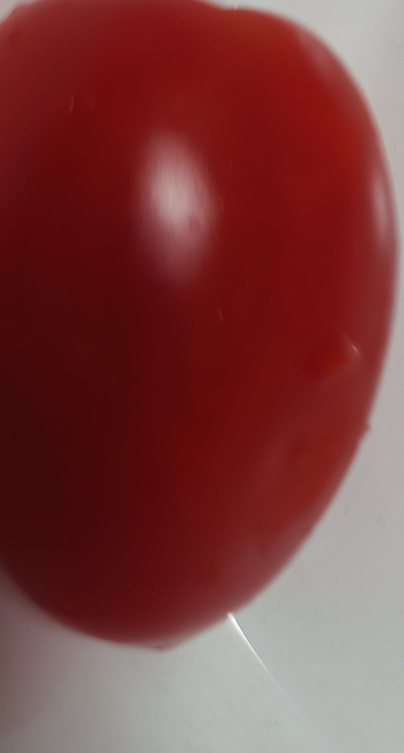 토마토