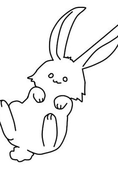 토끼