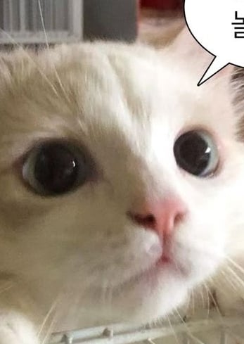 시우